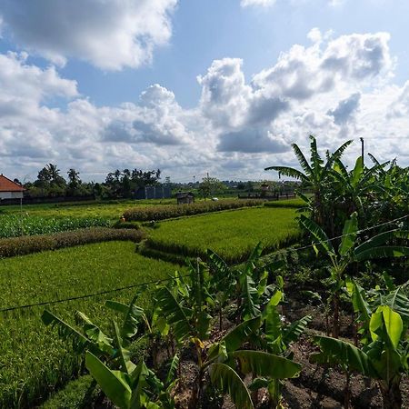 Вилла Oemah Joglo Bali Убуд Экстерьер фото